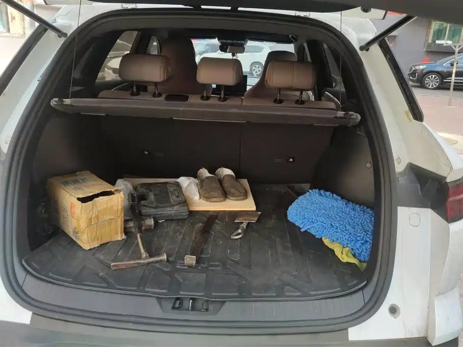 BYD SONGJIANG NEW ENERGY