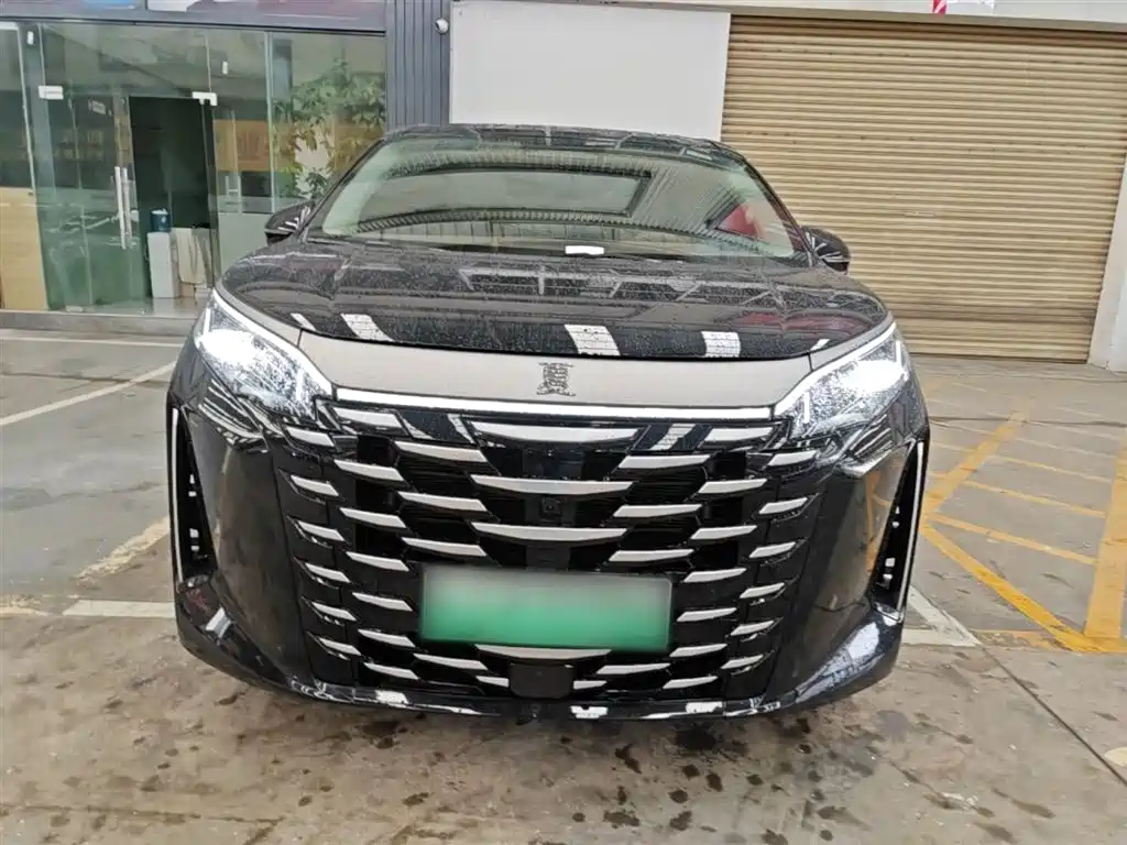 BYD Xia 2025 DM-i 1.5T 180km Surpass Edition фото 3