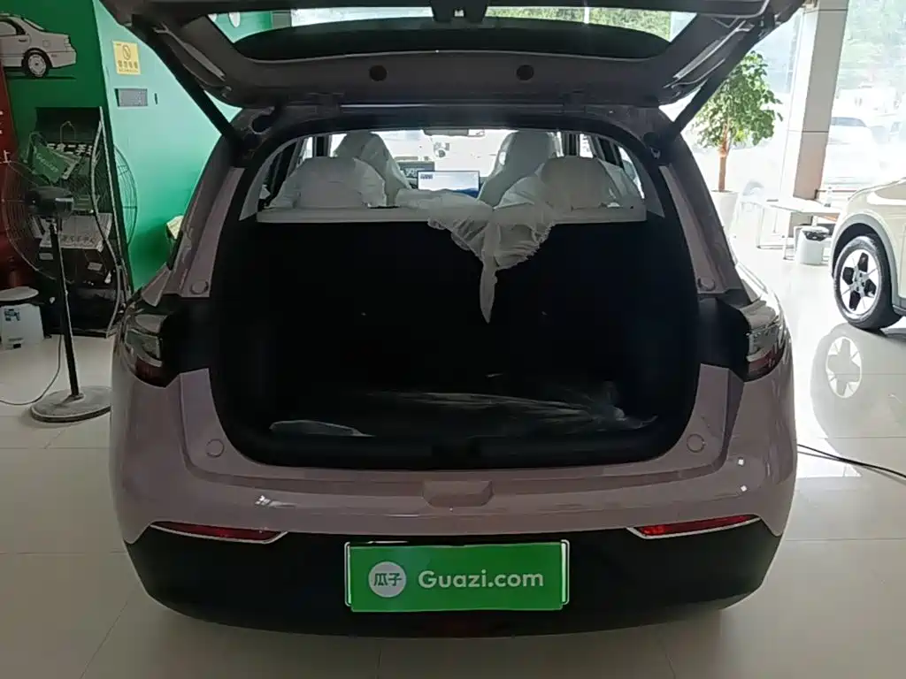 Geely Galaxy Starry Wish 2026 2026 Model 310km Dream Edition