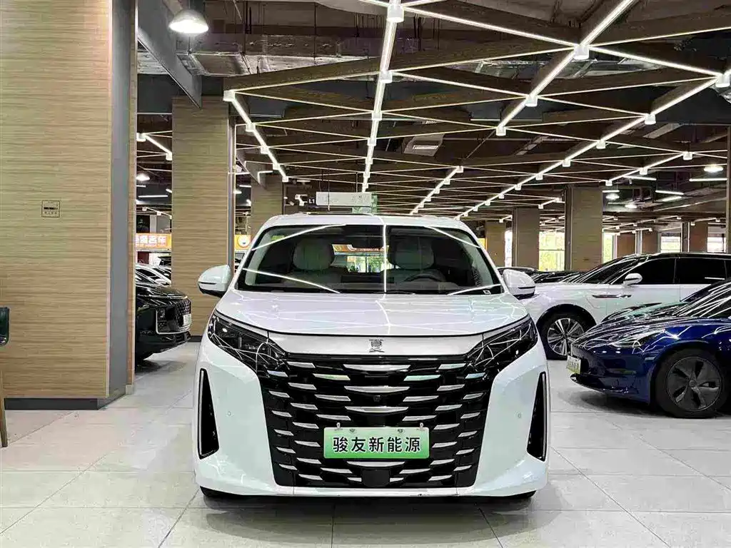 Фото 11 - BYD Xia