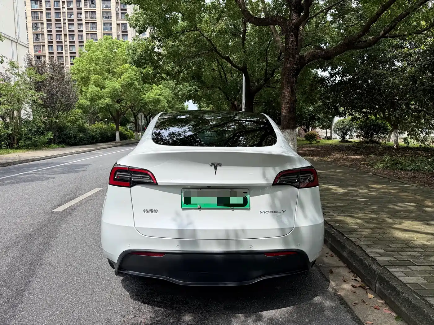 Фото 17 - Tesla Model Y