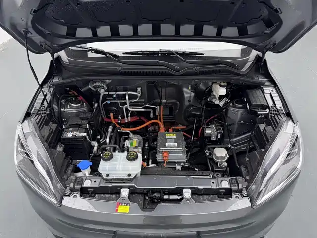 Wuling Motors Wuling Hongguang New Energy 2026 2024 Pure Electric 300KM Standard