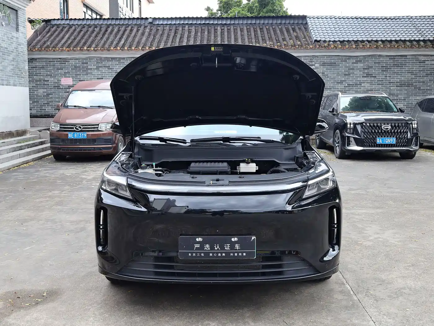 Landian E5 PLUS 2024 2025 165km Long Range Travel Custom Edition 7-seater