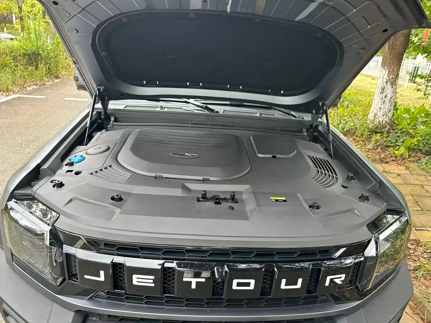 Jetour Shanhai T2 2025 2024 C-DM 129KM Forest Edition