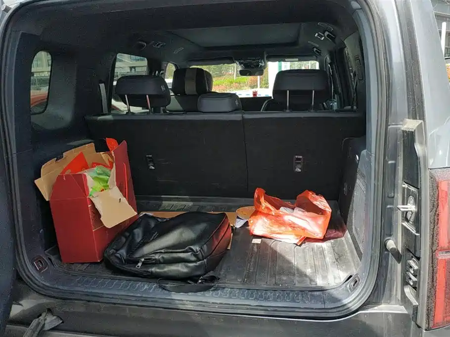 FANG CHENG BAO LEOPARD 5