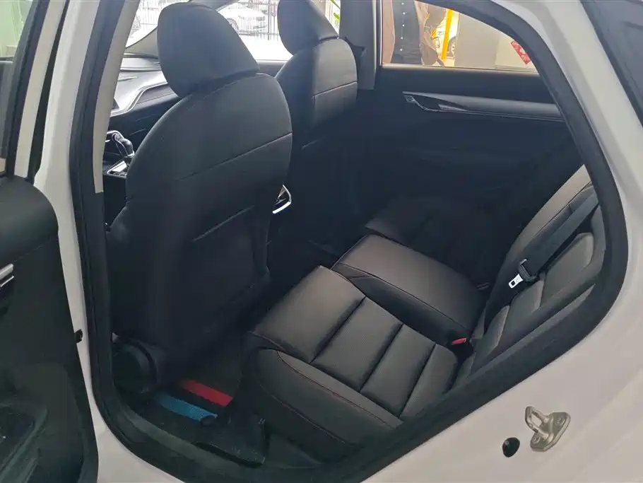 GEELY AUTOMOBILE BINRUI