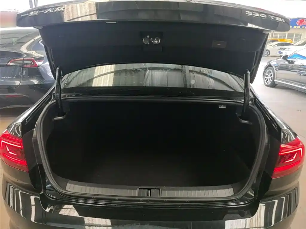 Volkswagen Magotan 2020 330TSI DSG Leading фото 19