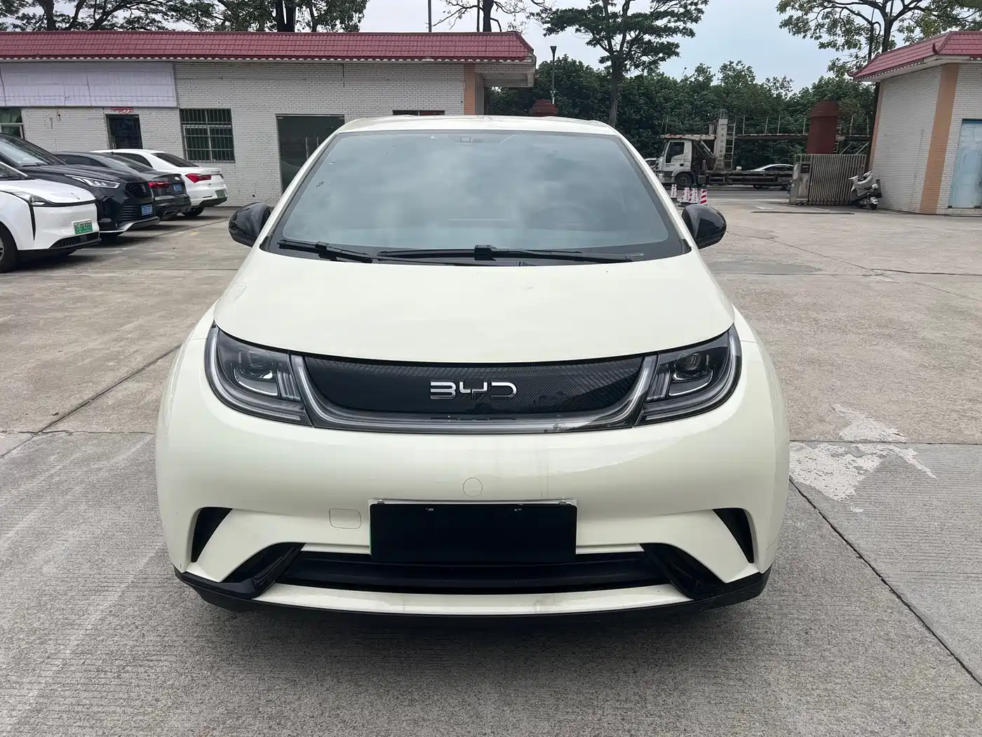 BYD DOLPHIN