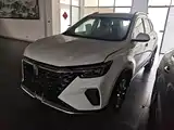 Фото 1 - Roewe RX5