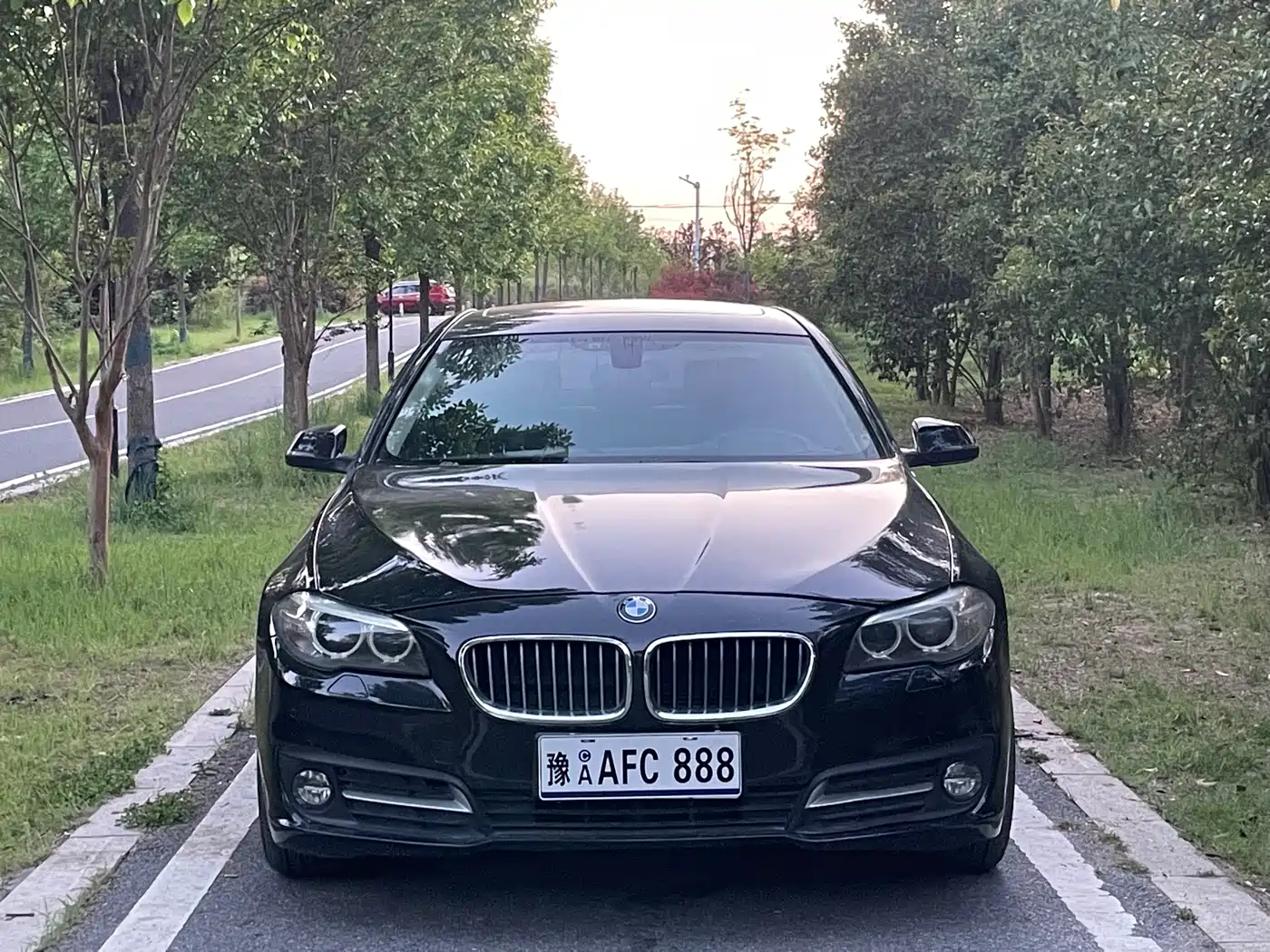 BMW 5 Series 2014 520Li Elegance фото 2