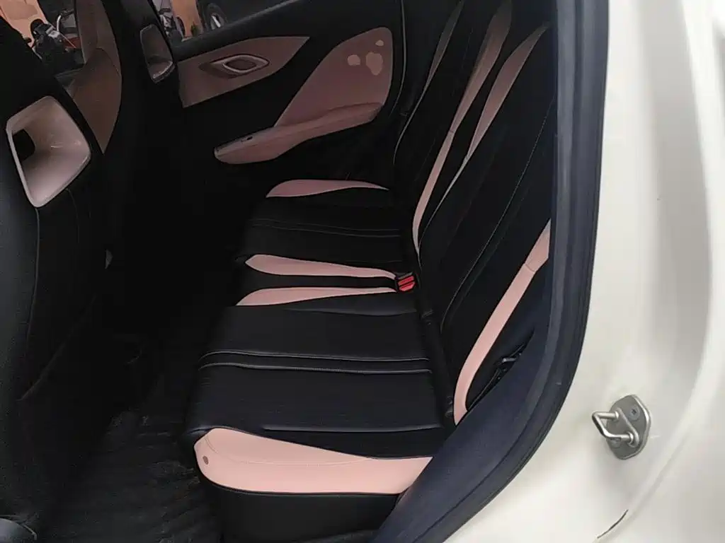 BYD Seagull 2023 2023 Vitality Edition
