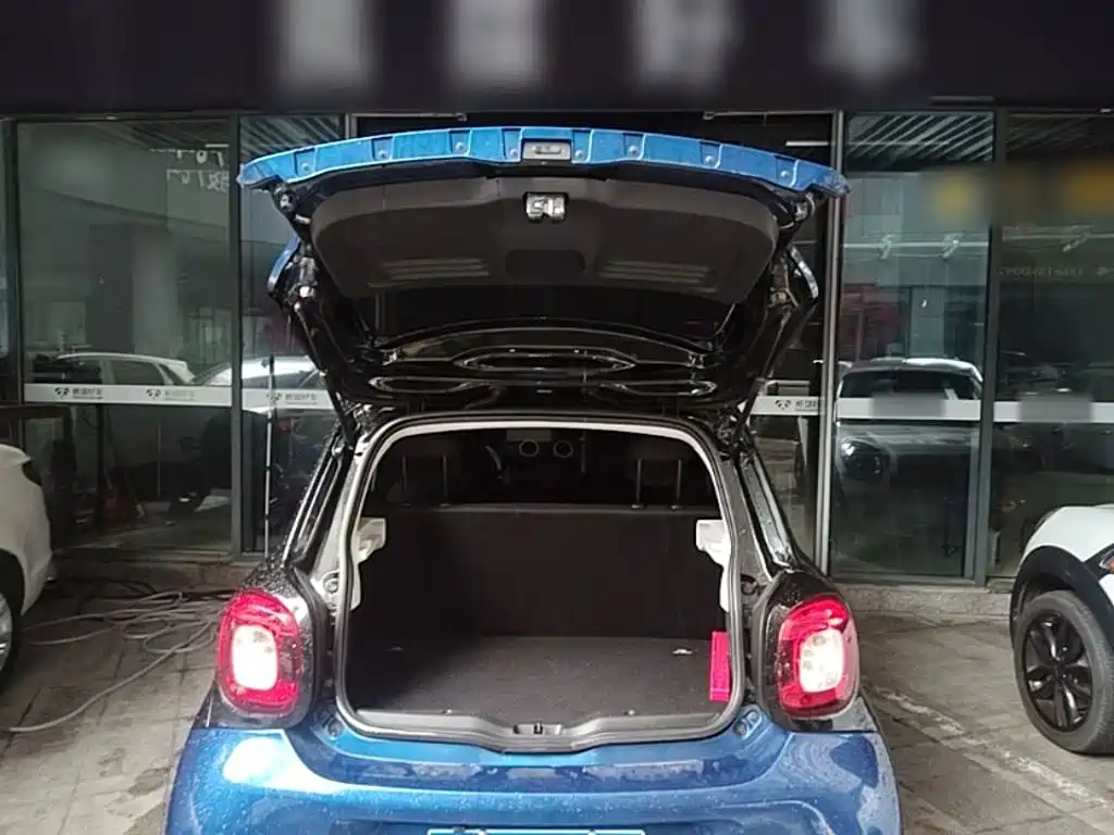 Фото 19 - smart forfour