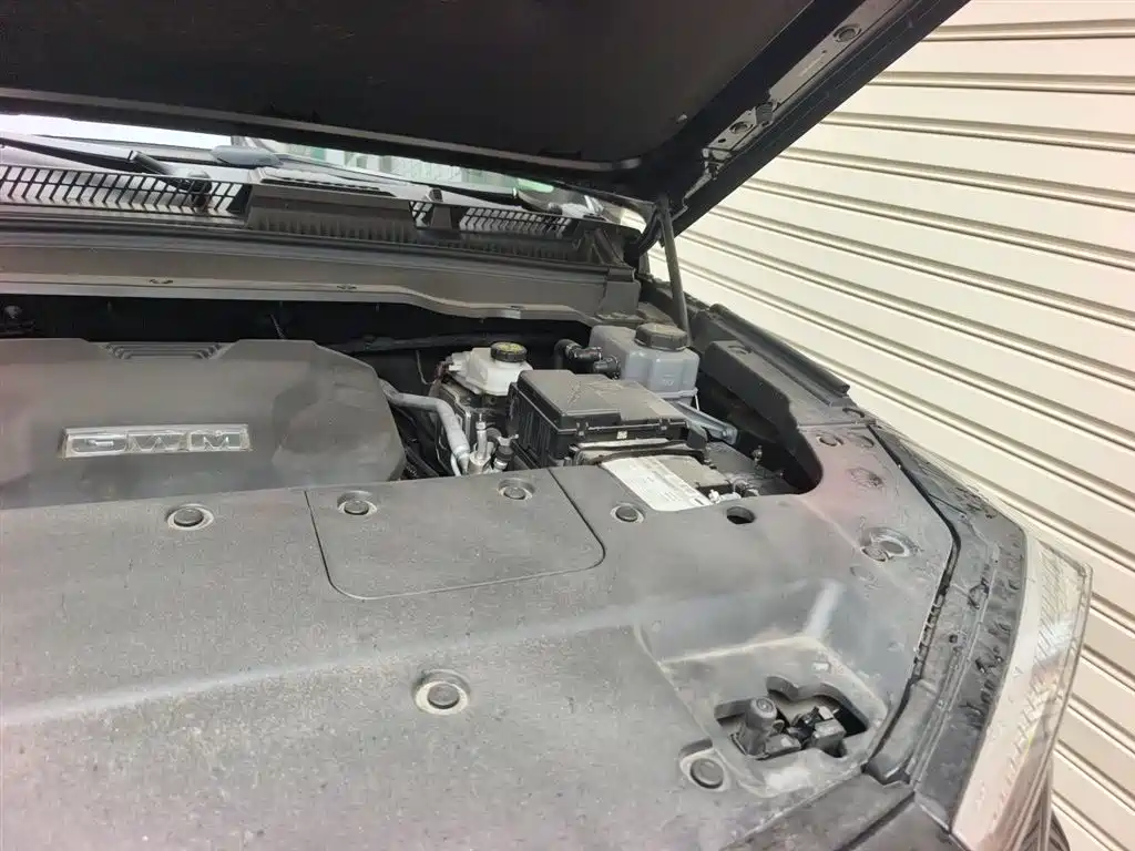 Tank 400 New Energy 2023 Hi4-T Super Edition фото 23