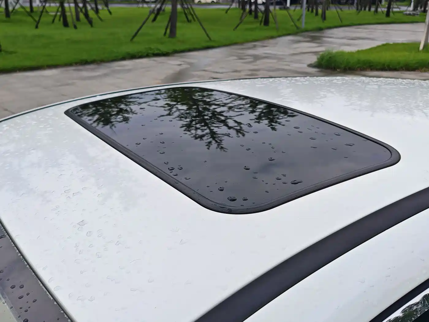 Ford Focus 2013 2012 Hatchback 1.6L Automatic Trend