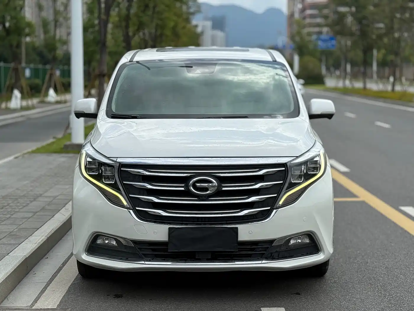 GAC Trumpchi Trumpchi M8 2018 320T Flagship Edition фото 2