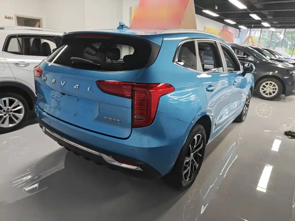 Haval First Love 2021 2021 1.5T Automatic Premium Edition