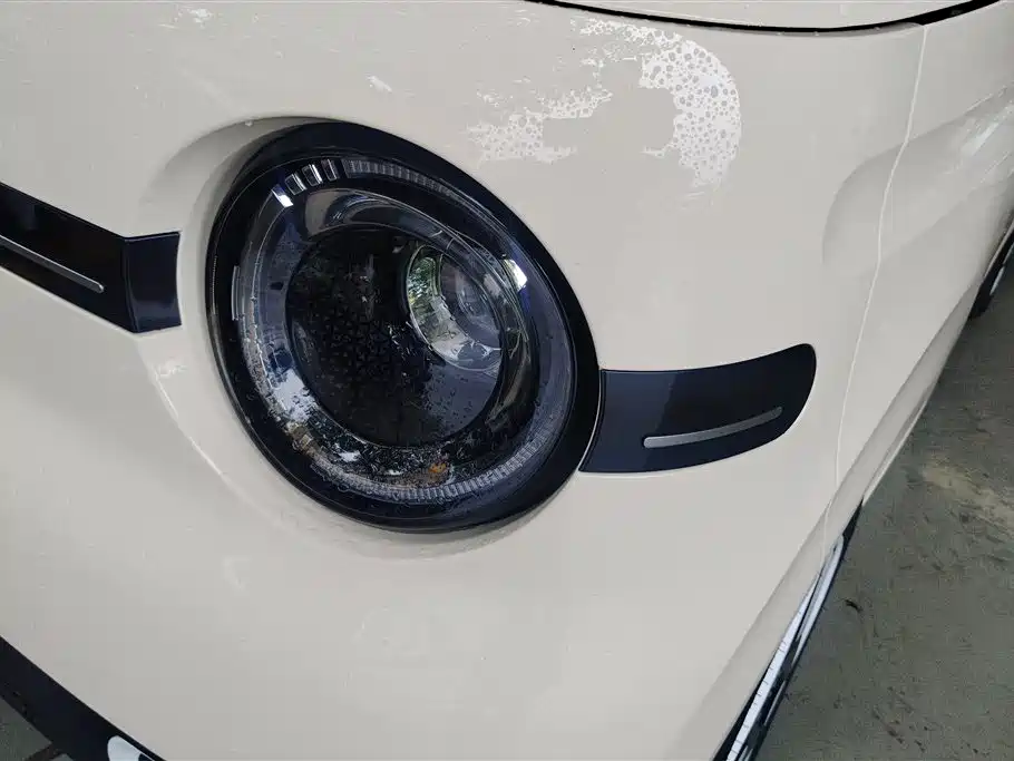 Geely Galaxy Panda 2025 Panda mini 210km Vitality Bear фото 5