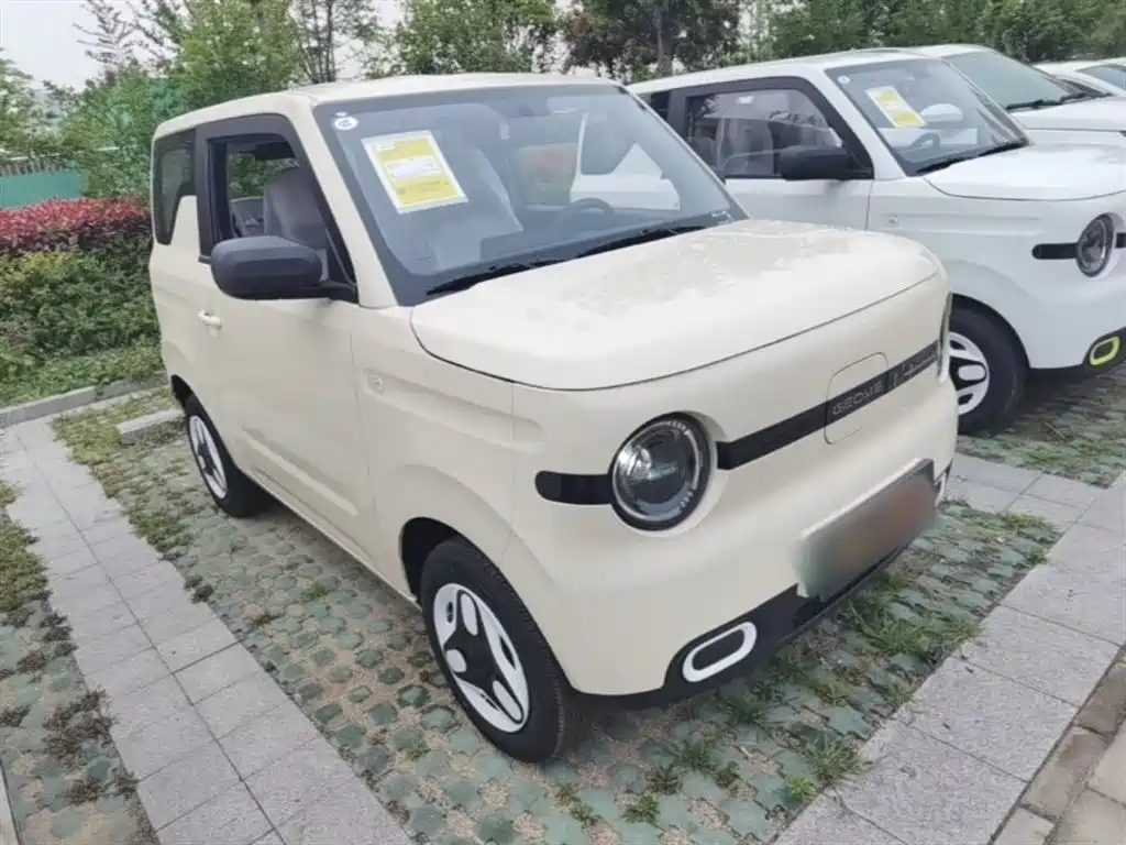Geely Galaxy Panda 2025 Panda mini 210km Vitality Bear фото 22