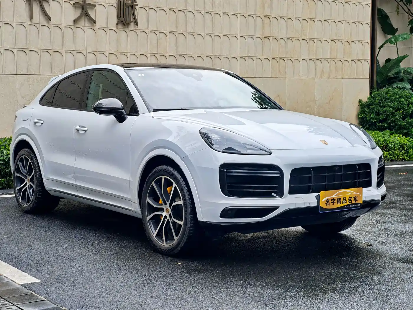 Porsche Cayenne 2022 Cayenne Coupé 3.0T Platinum Edition фото 3