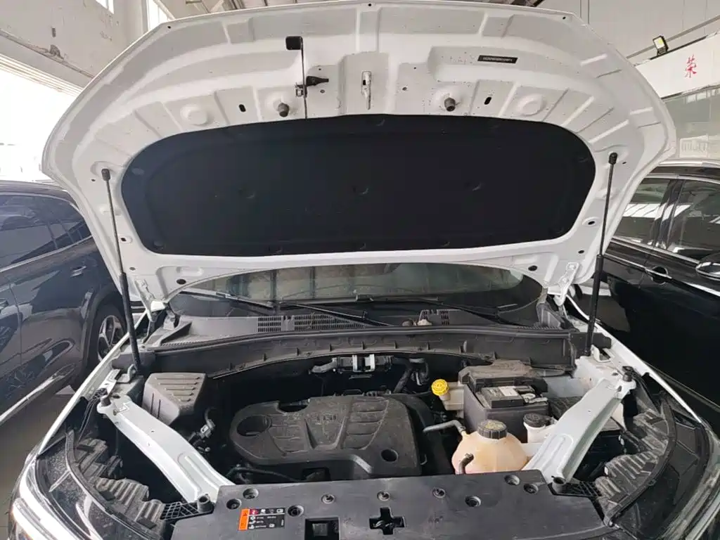Roewe RX5 2025 2025 PLUS 330TGI Auto Trend-Setting Smart Edition