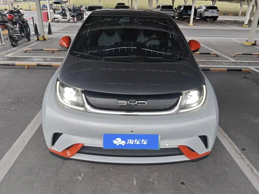 Фото 2 - BYD Dolphin