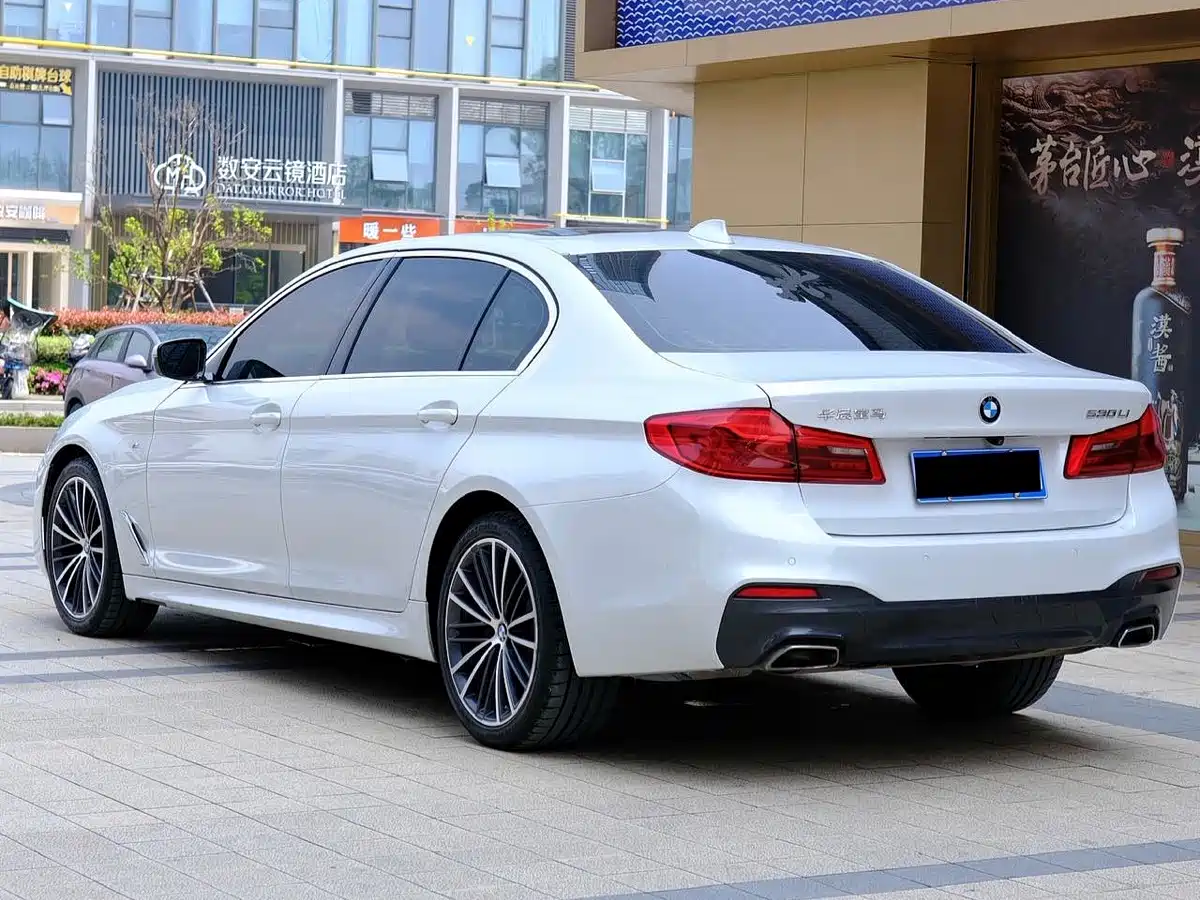 BMW 5 Series 2020 530Li Leading M Sport Package фото 12