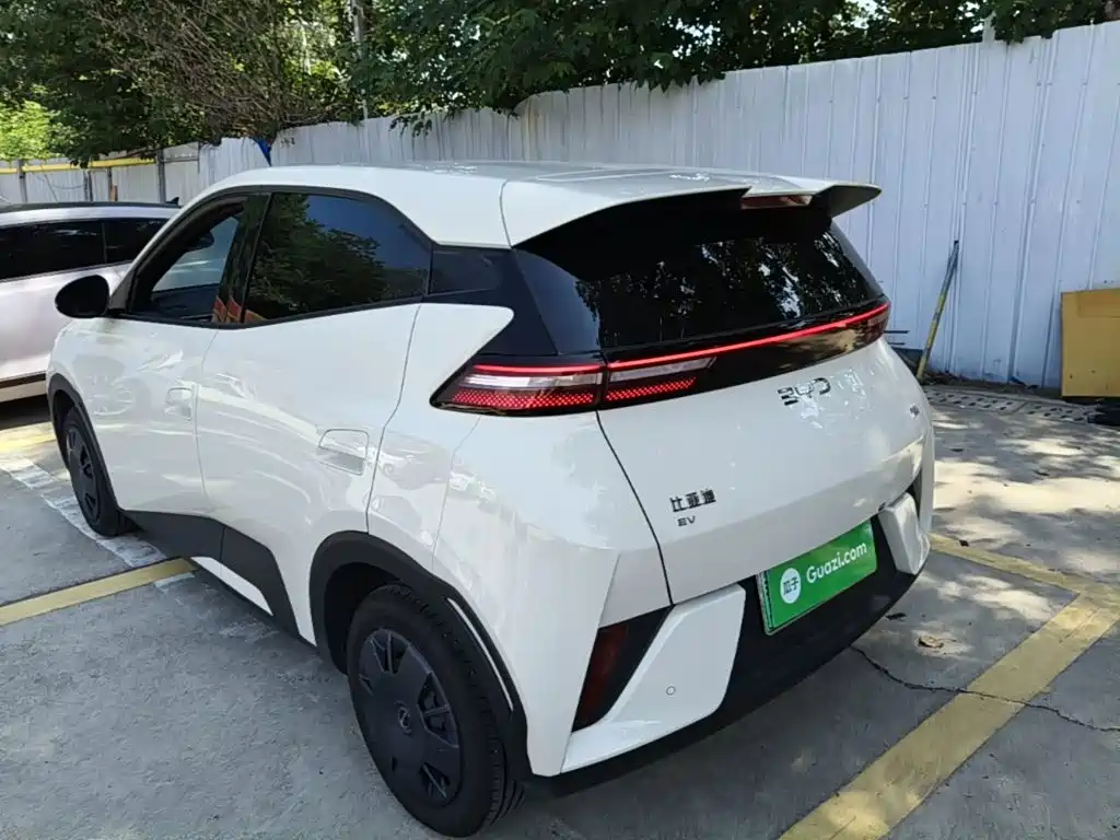 BYD Seagull 2026 2025 Smart Drive Edition 305km Vitality Version