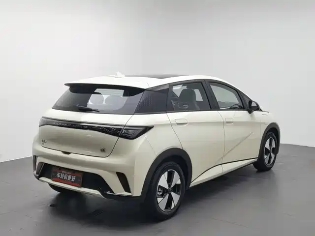 BYD Dolphin 2023 420km Fashion Edition — фото 2