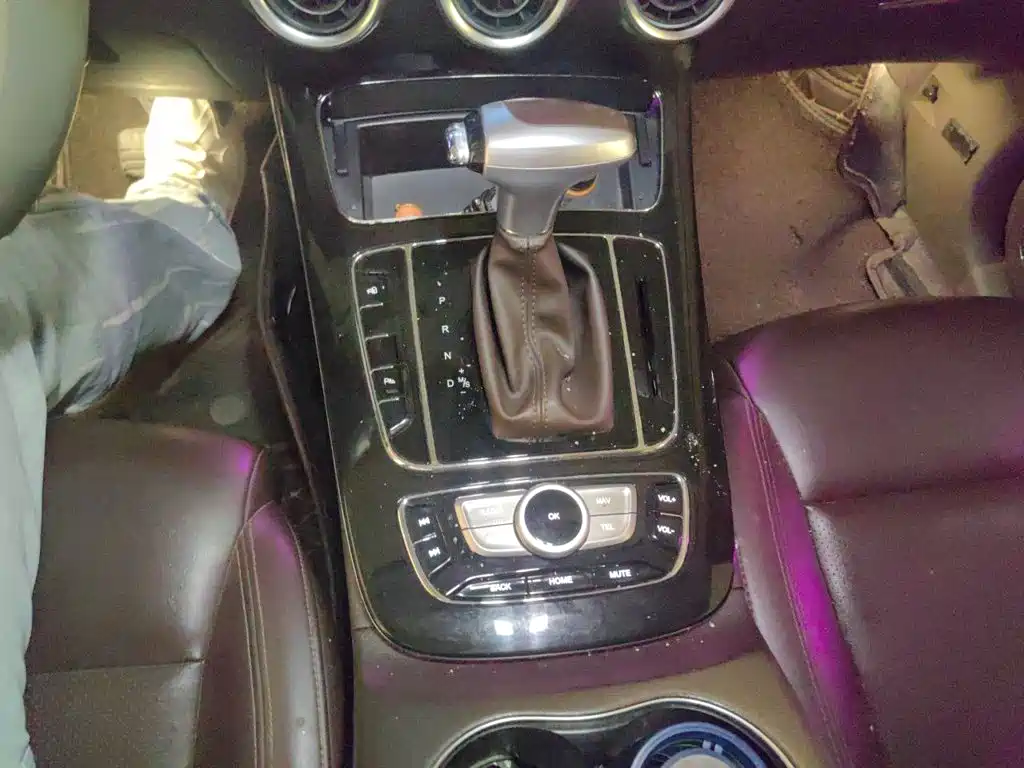 Leopaard Mattu 2018 2018 1.6T GDI DCT Premium Edition