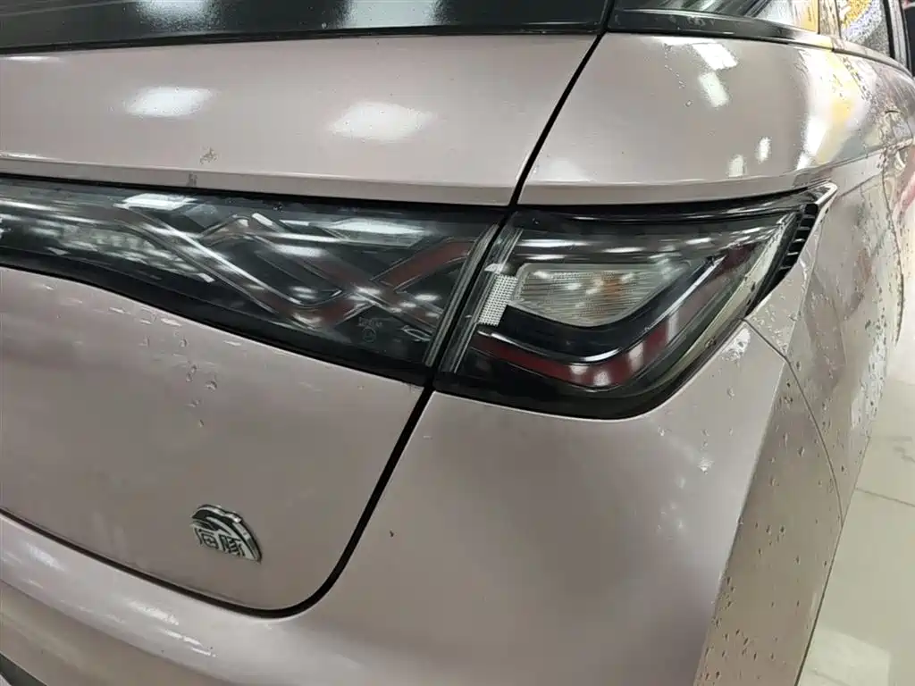 BYD Dolphin 2021 Model 405km Fashion Edition фото 8