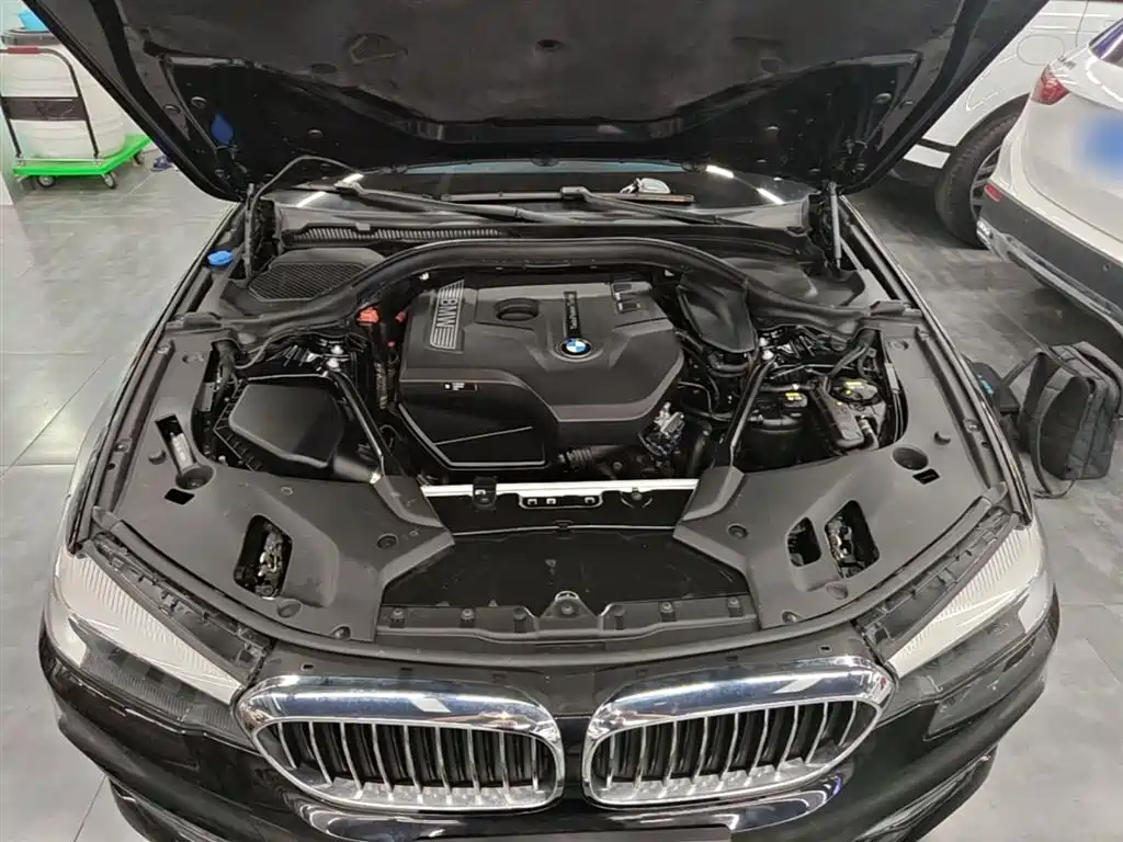 BMW 5 Series 2018 528Li Launch Special Edition фото 20