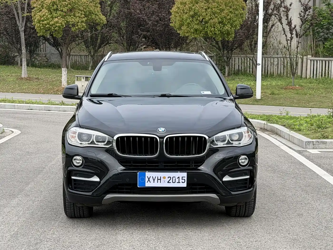 BMW X6 2015 xDrive28i фото 2