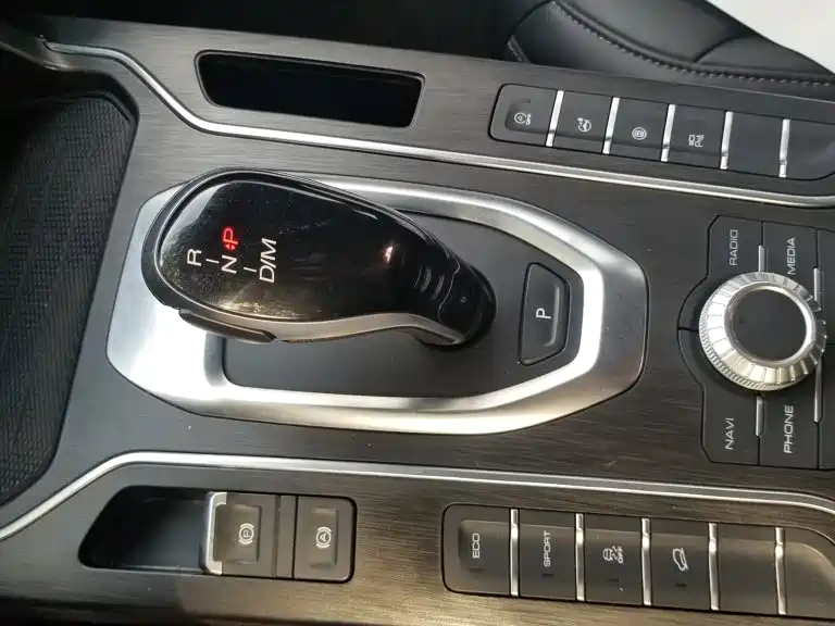 WEY VV5 2021 2021 1.5T 2WD Style Pioneer