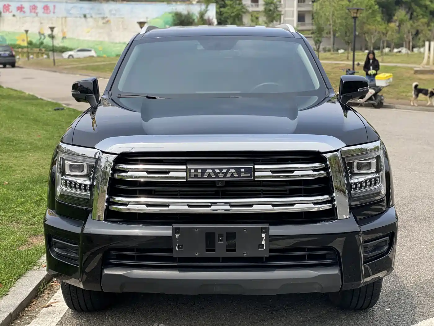 Haval H5 2025 2.0T Auto 4WD Elite Edition (Diesel) фото 2