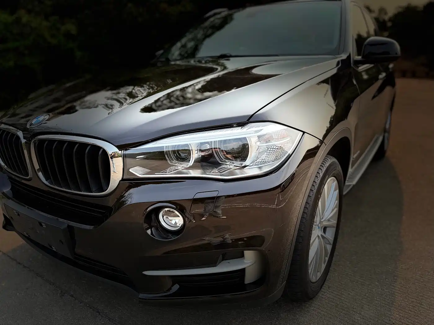 BMW X5 (Import) 2014 xDrive35i Leading фото 11
