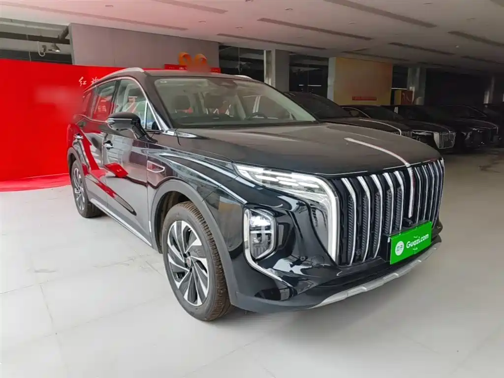 Hongqi HS7 PHEV 2024 2.0T PHEV 4WD Flagship Edition 6-seater фото 4