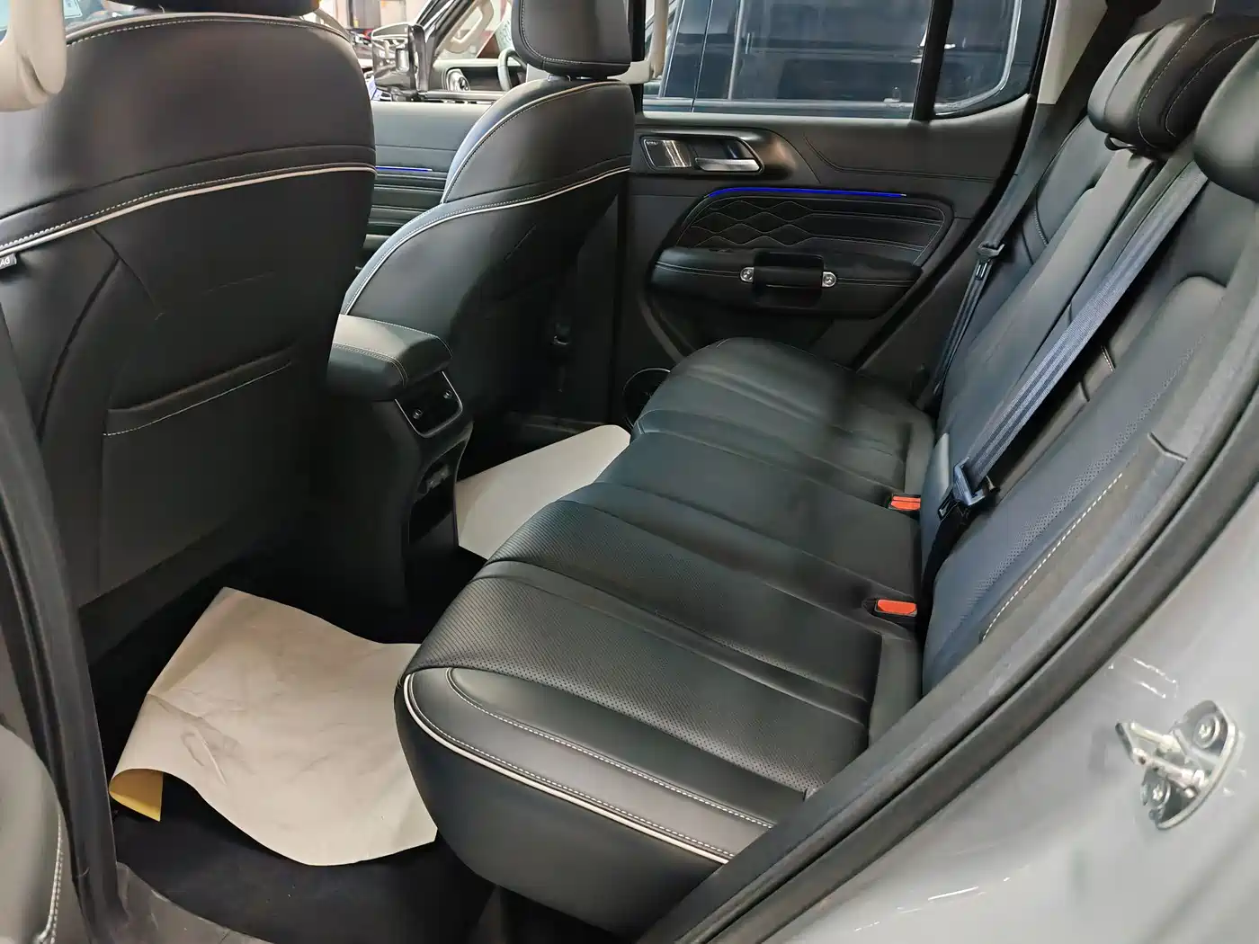 Tank 300 2023 Off-Road Edition 2.0T Conqueror фото 14