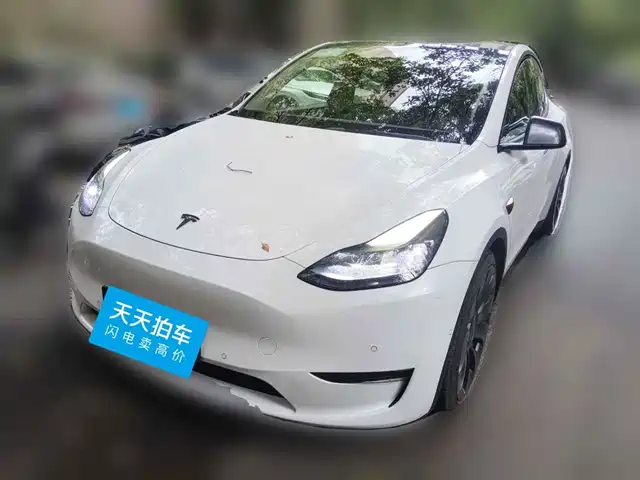 Tesla Model Y 2022 Performance High-Performance All-Wheel Drive Version — фото 1