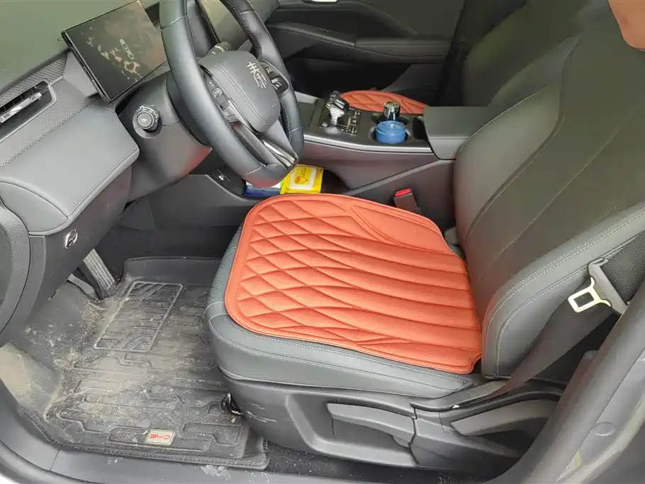 BYD Qin PLUS 2025 DM-i Smart Drive 55KM Leader фото 9