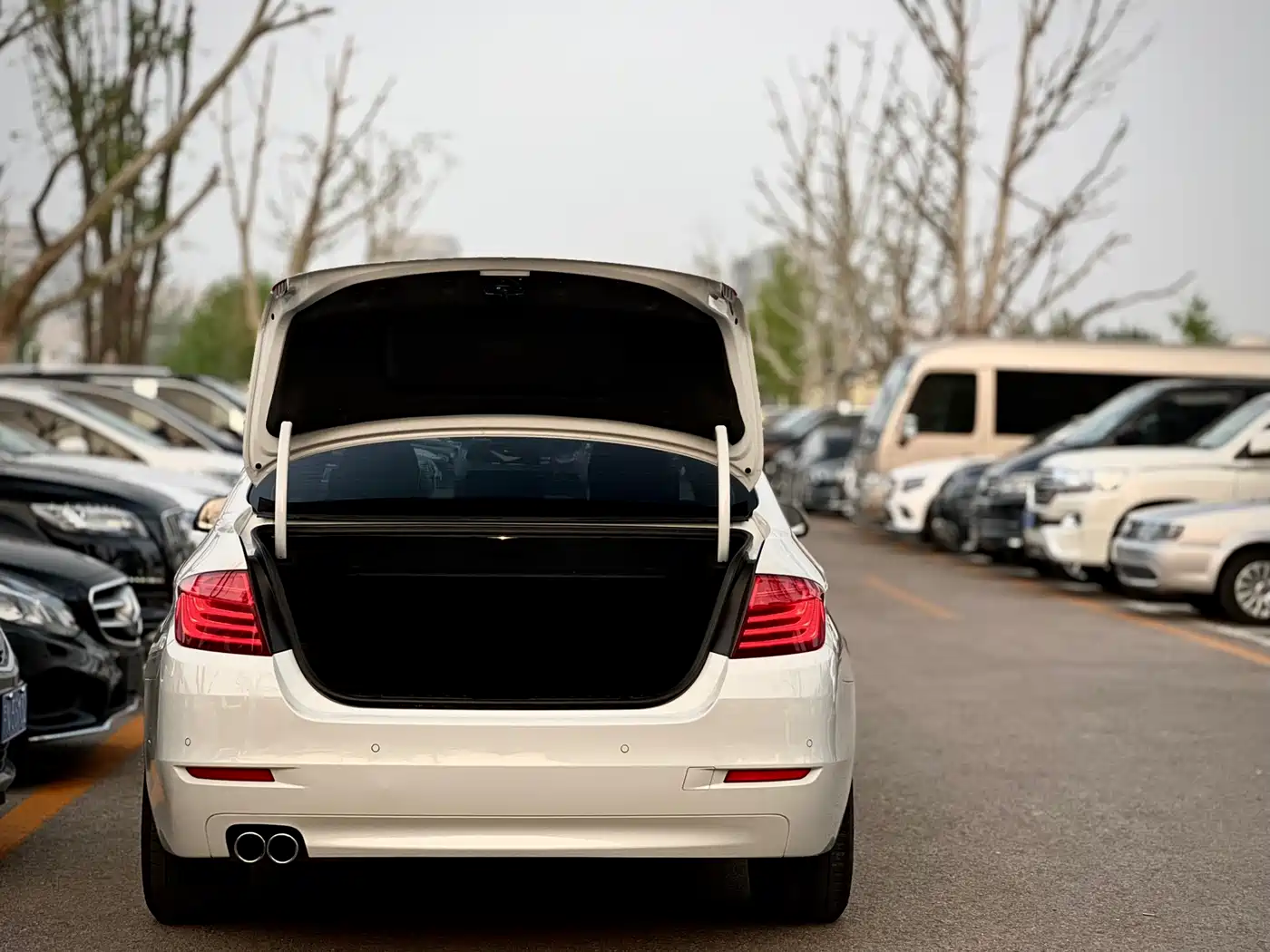 BMW 5 Series 2014 525Li Leading фото 6