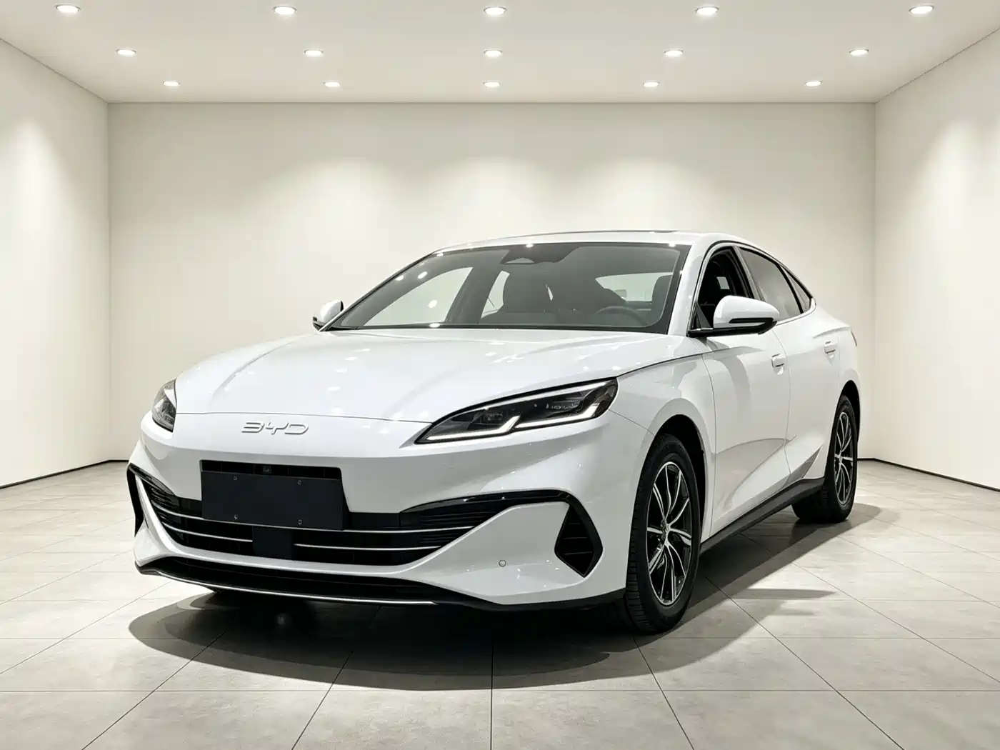 BYD Seal 06 New Energy 2024 DM-i 120KM Premium фото 3