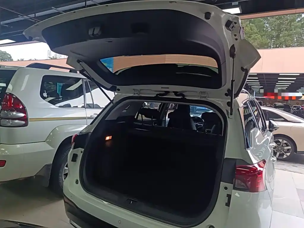 GAC Trumpchi Trumpchi GS4 New Energy 2021 2020 1.5T PHEV Premium
