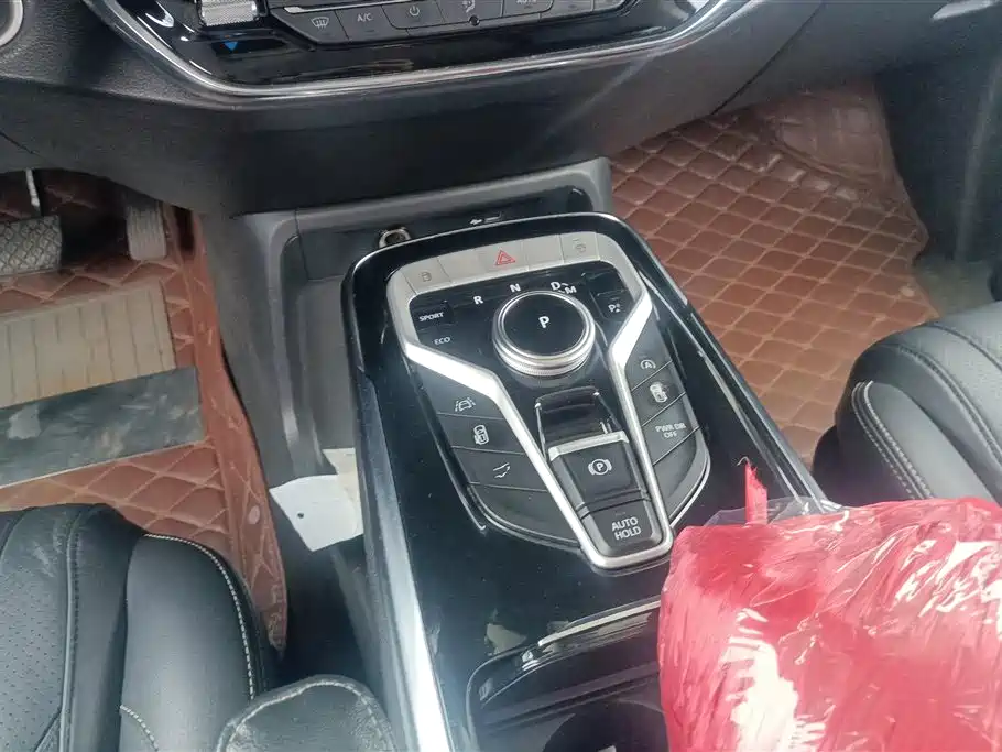 SAIC MAXUS CHASE G20