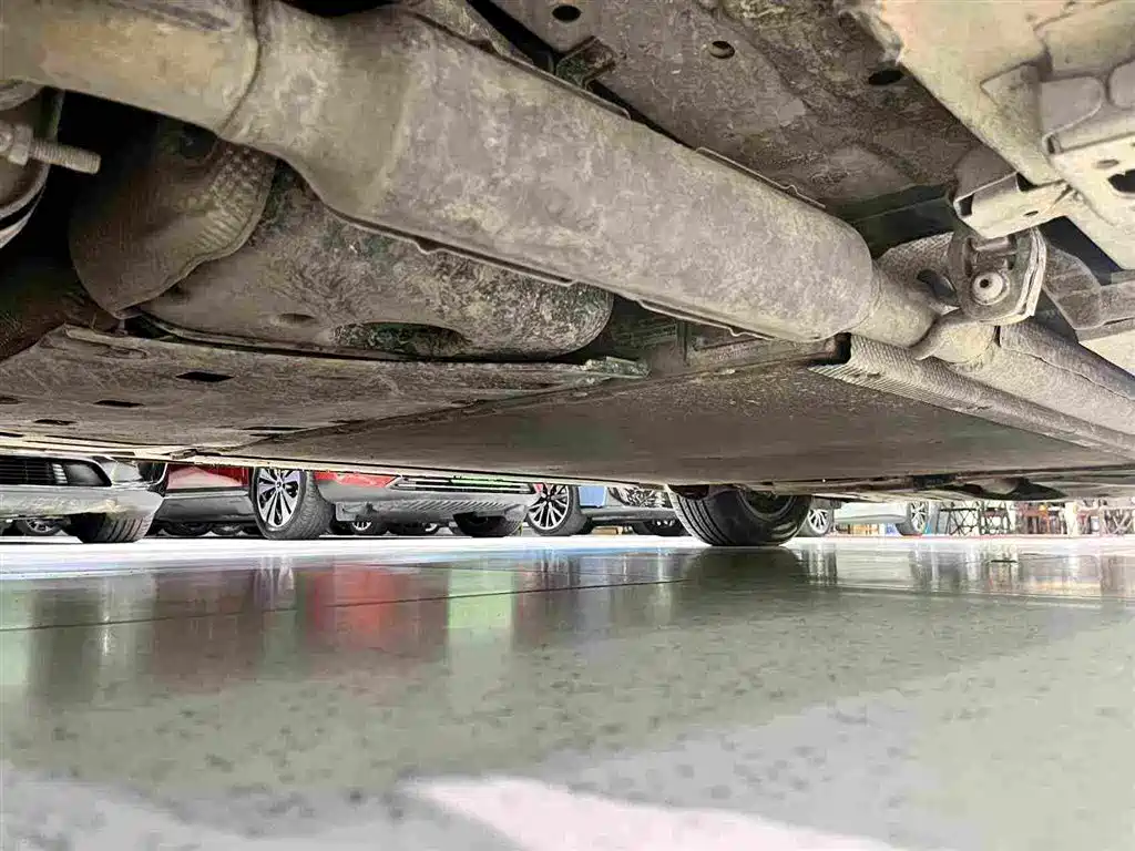 Фото 31 - BYD Xia