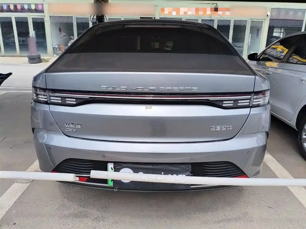 BYD Destroyer 05 2024 Glory Edition DM-i 55KM Luxury фото 6