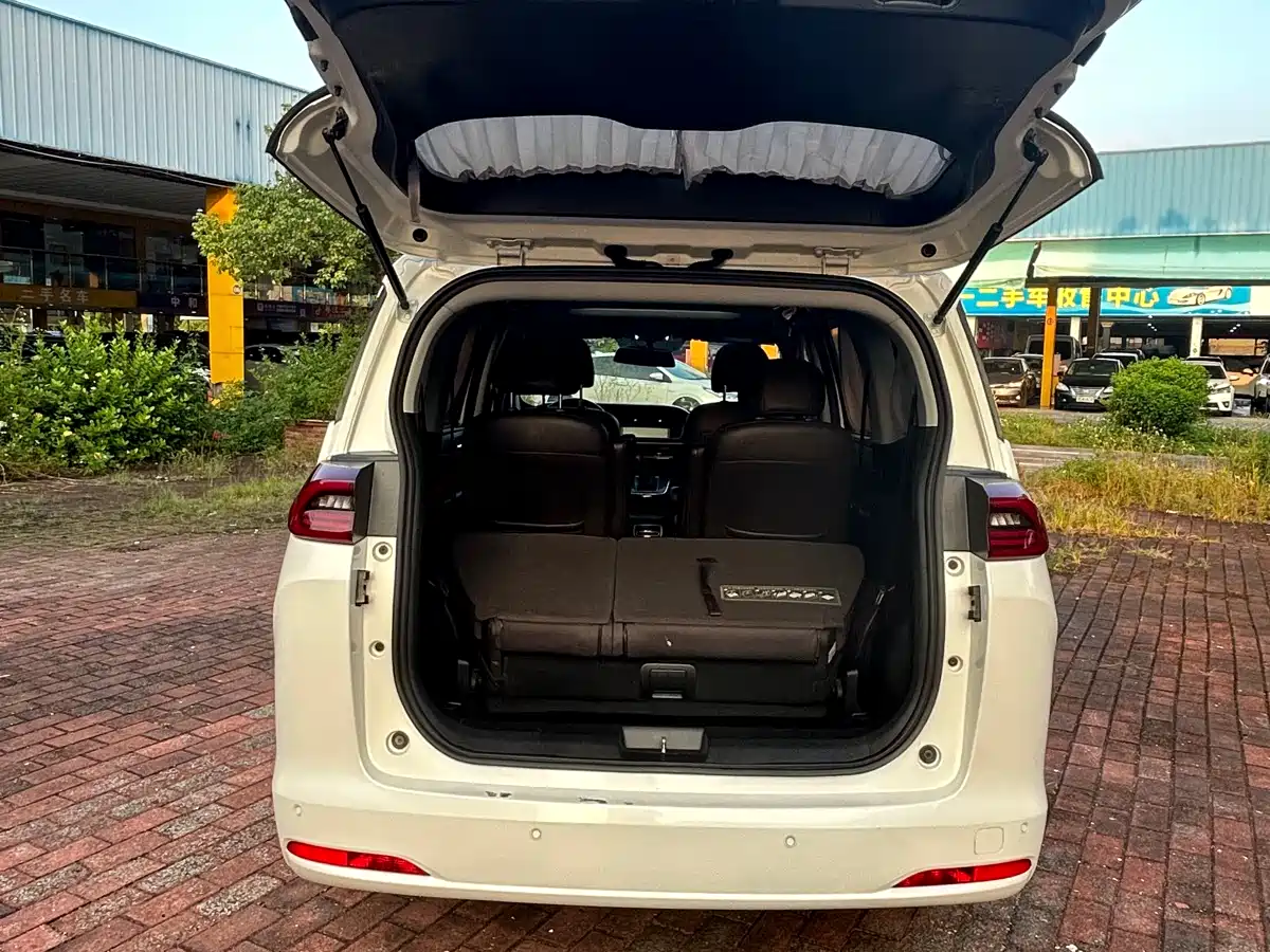 GAC Trumpchi Trumpchi M6 2019 270T Automatic Luxury (7-seater) China V фото 3