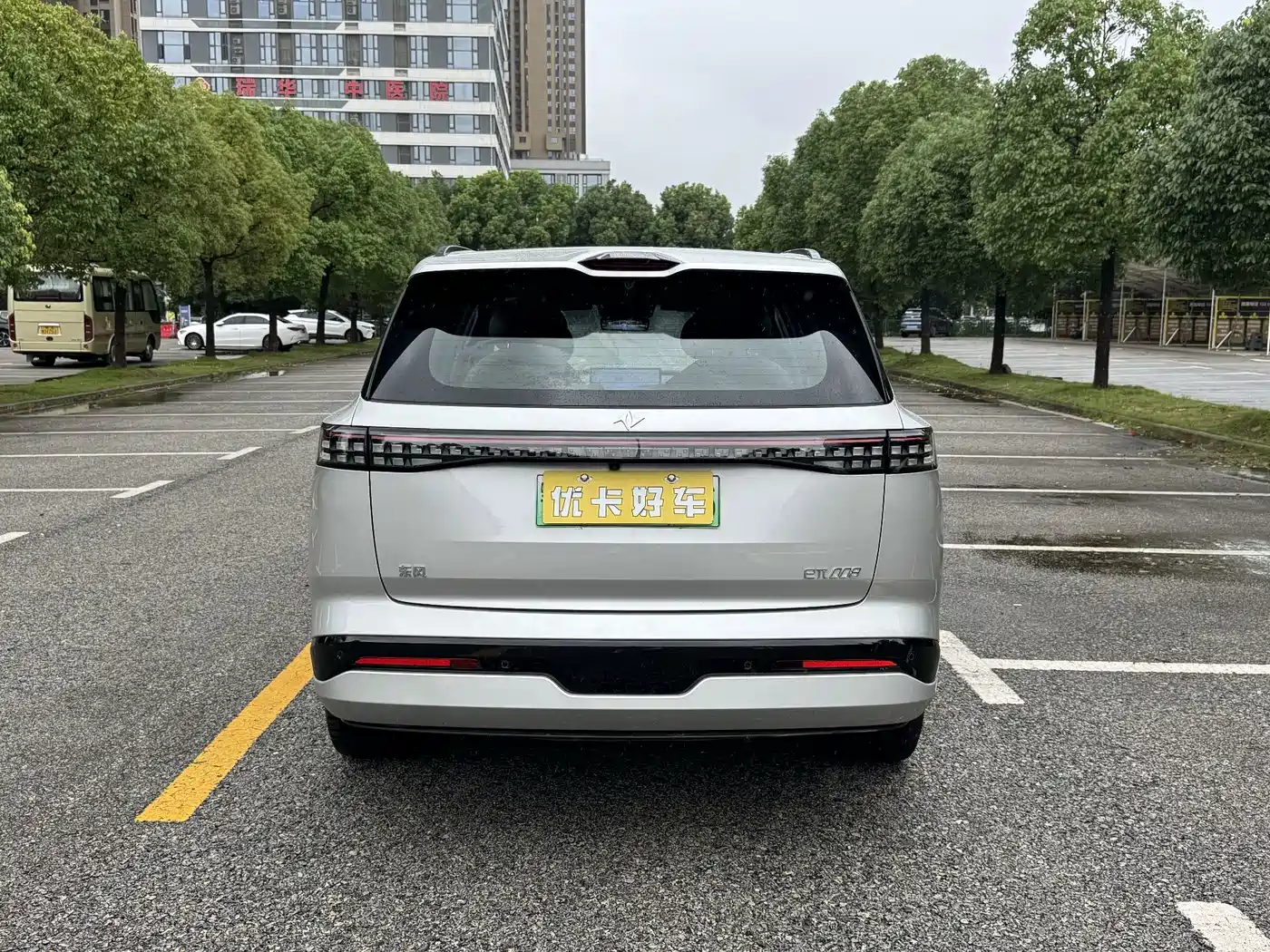 2025 Dongfeng Yipai eπ008