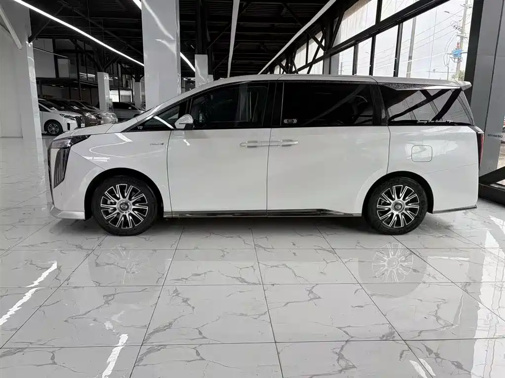 GAC Trumpchi Trumpchi E9 2023 E9 MAX фото 4