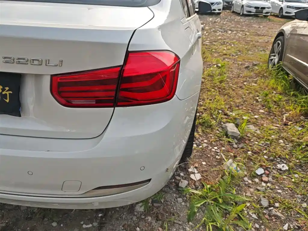 BMW 3 Series 2018 320Li Fashion Style фото 8
