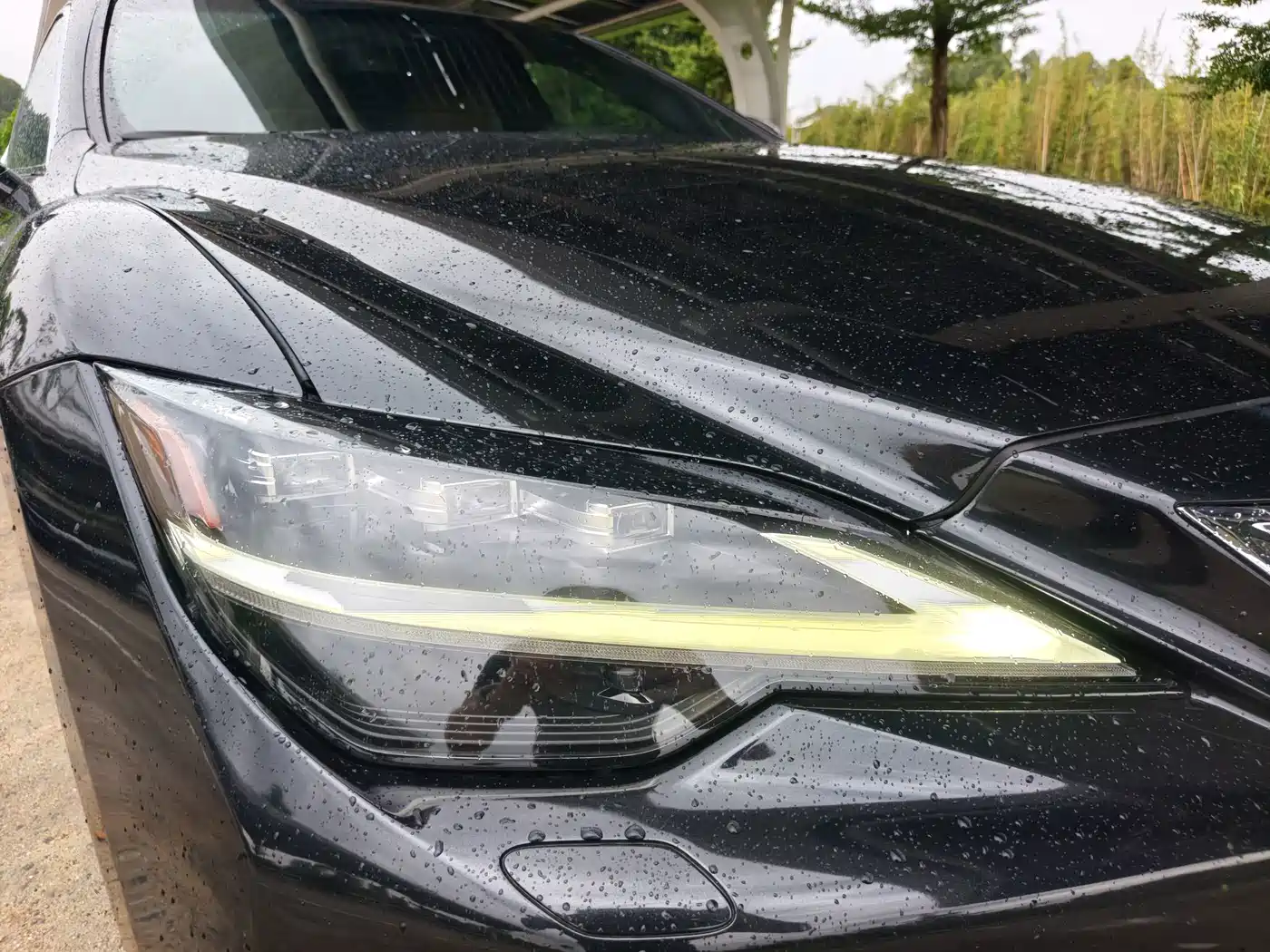 Lexus LS 2021 2021 500h Luxury Edition